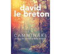 Camminare: Elogio dei sentieri e della lentezza (Wanderer)