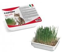 Camon Hierba para Gato 1 x 140 gr
