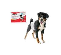 Camon Pañales Desechables de Banda elástica para Perros machos, Talla M, diámetro 46/60 cm, 12 Unidades