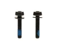 Campagnolo 20-24mm 2P Fixing Screw Talla única Negro