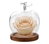 Campana de con base, decoración de oficina, forma de fruta, campana de para flores estabilizadas, para figuras en miniatura, flores secas, regalos decoración del hogar, boda, mesa