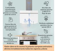 Campana extractora Ava 60 60cm Wall Hood WiFi A++ 515 m³/h Touch Klarstein