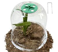 Campanas de Jardín para Plantas | Suministros De Jardinería Transparentes | De Protección para Plántulas - para Viveros, Patio, Invernadero, Hortalizas, Flores Y Frutas