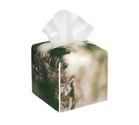 Campanilla de Invierno Silvestre de Primavera,Dispensador de pañuelos, Funda para Caja de pañuelos, dispensador de pañuelos