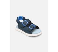 Camper Oruga Sandal K800495 FW 25 Azul