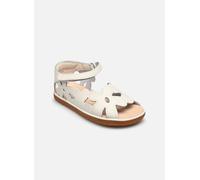 Camper TWS FW 26 Multicolor