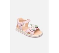 Camper TWS K800503 FW 25 Rosa