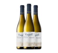 Campillo Albariño Rías Baixas Joven 75 cl Vino blanco (Caja de 3 Botellas de 75 cl)