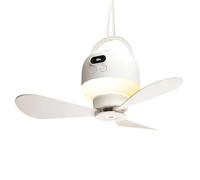 Camping Fan With LED Light - Portable RV Tent Ceiling Blower | Remote Contr