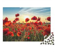 Campo de Amapolas Puzzle de 1000 Piezas para Adultos Atardecer Juego de Puzzle para Toda la Familia Relajación Hogar 38x26cm/1000pcs