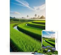 Campo de arroz al Amanecer, Rompecabezas de 1000 Piezas para Adolescentes, Juguete para ejercitar la Mente, diseño Relajante, Regalo Ideal para armar (38x26cm)