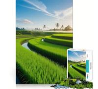 Campo de arroz al Amanecer Rompecabezas difícil para Adultos 1000 Piezas Mejora la Memoria Relaja la Mente Bordes Afilados Regalo Elegante (38x52cm)