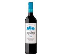 Campo de Borja Coto de Hayas Crianza 2022