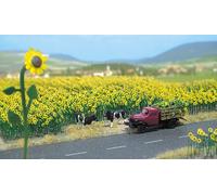 CAMPO DE GIRASOLES (60 Girasoles) HO/OO Gauge Busch 6003