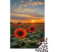 Campo de Girasoles al Atardecer Jigsaw Resplandor del Atardecer Puzzle Mil Piezas Papel Resistente - para Entusiastas Ocio Desafiante Mejora Concentración 38x26cm/1000pcs