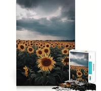 Campo de Girasoles bajo un Cielo tormentoso Rompecabezas para Adultos de 1000 Piezas Fortalece la Memoria Arte de Bordes limpios y tranquilos Coleccionable 38x26cm