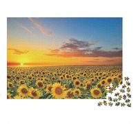 Campo Girasol Puesta del Sol 1000 Piezas Stock De Cartas Premium Paquete De Rompecabezas Entusiastas De Jigsaw Senior Difícil Desafío Decoración De Paredes Paquete De Valor 52x38cm/1000pcs