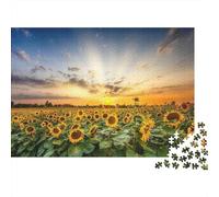 Campo Girasol Puesta del Sol 1000 Piezas Stock De Cartas Premium Rompecabezas Premium Fans De Adolescentes 12-18 Años Difícil Desafío Decoración De Paredes 70x50cm/1000pcs