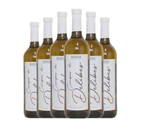 Campos de Delibes Verdejo Rueda 75 cl Vino blanco (Caja de 6 Botellas de 75 cl)