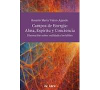 Campos de energía: alma, espíritu y conciencia. Disertaciones sobre las realidades no visibles (viveLibro)