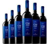 Campos de Solana Único Reserva Tannat, un vino tinto boliviano con crianza que ofrece estructura, intensidad y una expresión auténtica del Tannat en altura.| 6 botellas