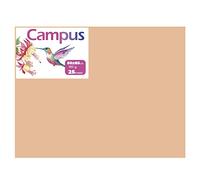 Campus - Cartulinas 50x65cm, 25 Unidades, 180g/m². Cartulinas 50 x 65 cm de colores ideales para manualidades, oficina, dibujo, papiroflexia (25 Carne)