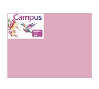 Campus - Cartulinas 50x65cm, 25 Unidades, 180g/m². Cartulinas 50 x 65 cm de colores ideales para manualidades, oficina, dibujo, papiroflexia (25 Rosa)