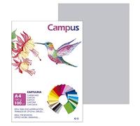 Campus - Cartulinas A4, 100 Unidades, 180g/m² de 210 x 297 mm, Ideal para encuadernación, trabajos de oficina, dibujo, manualidades. Cartulinas aptas para uso escolar (Gris Claro)