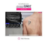 CAMPUS WAZO: Curso Online de Musculoesquelética. Certificado universitario oficial emitido por la Universidad de Vitoria-Gasteiz (EUNEIZ)