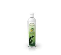 Camylle - Fragancia Baño de Vapor Elinya - A base de Aceites Esenciales para Salas de Vapor, Baños de Vapor - Un adelgazante con aromas puros e intensos - 250ml