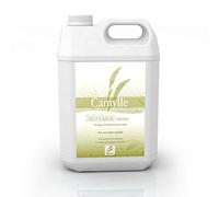 Camylle - Stérylane Sauna - Desinfección de equipos de spa - - 5000ml