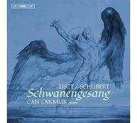 Can Çakmur - Schwanengesang