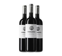 Can Ràfols Pedradura Penedès Crianza 75 cl Vino tinto (Caja de 3 Botellas de 75 cl)