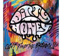 Can T Find the Brakes/Vinyle Transparent [Vinilo]