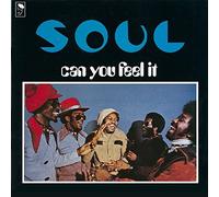 Can You Feel It [Vinilo]