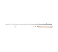 Caña de lanzar Berkley Lightning HT II 15-55g 3,04 m