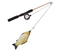 Caña de Pescar Interactiva, Juguete para Gatos, Diseño Ergonómico, Retráctil para Gatos Activos, 74cm/29,1 Pulgadas de Longitud (Carpa cruciana + caña de Pescar)