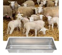 Canal de alimentación y riego de ganado de acero inoxidable, fácil de limpiar, duradero para animales de granja, diseño portátil que mejora la eficiencia de la granja