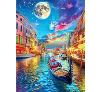 Canal de Venecia de Noche bajo Las Estrellas Rompecabezas 300 Piezas Cartón Resistente para Adolescentes Vida Silvestre y Mascotas Actividades Grupales Mejor Valorado Navidad 300