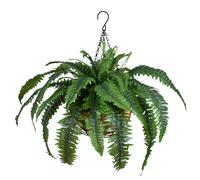 Canasta De Helechos Falsos - Planta Colgante Resistente A Los Rayos UV, Vegetación Artificial | Diseño De Seda Grande Realista, Acento Decorativo De Estilo De Algas,para La Sala De Estar De Dormitori