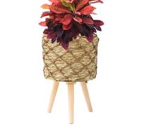 Canasta de macetas de plantador interior: soporte de plantas elegante con patas de madera, soporte de flores duraderos para la decoración del hogar | Mejore su espacio Sala de estar moderna, dormitori