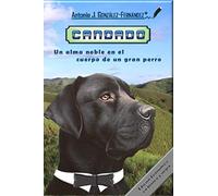 CANDADO: Un alma noble en el cuerpo de un gran perro