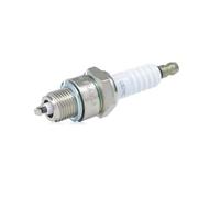 CANDELA CHAMPION L82YC