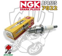 NGK BujÃa de encendido para NISSAN: Patrol, Pick-up, Sunny, Bluebird, Cherry, Stanza, Urvan, Prairie, Laurel & BMW: SÃ©rie 3 (Ref: 7822)