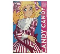 Candy Candy. Más bonita cuando sonríe (COMICS Y NOVELAS GRAFICAS)