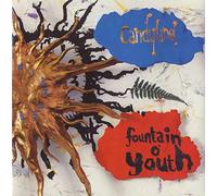 Candyland - FOUNTAIN O YOUTH 7 INCH (7" VINYL 45) UK NON FICTION 1990