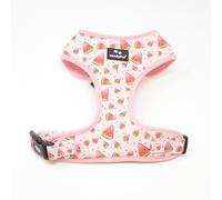 candyPet - Arnés Ajustable en Cuello y Pecho para Perro, Chaleco Antitirones, de Neopreno y Malla Transpirable, WATERMELON, M