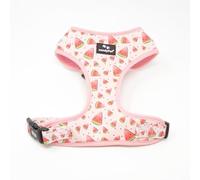 candyPet - Arnés Ajustable en Cuello y Pecho para Perro, Chaleco Antitirones, de Neopreno y Malla Transpirable, WATERMELON, L