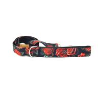 candyPet - Correa para Perros - 120 cm de algodón con Asa Acolchada de Softshell, Dogs and Roses