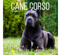 Cane Corso Calendar 2027: Dog Portraits and Breed Scenes